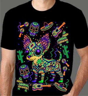 CHIHUAHUA FIESTA Chihuahua Fiesta!